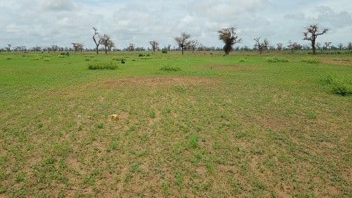 Terrain 300m² à Saly Saint-Joseph